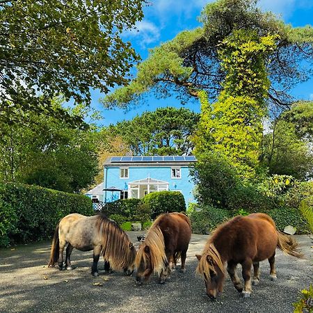 Bay View Cottage St Austell Dış mekan fotoğraf